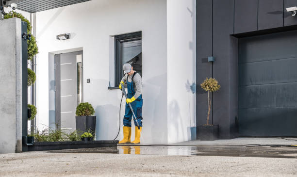 Best Driveway Pressure Washing  in Alma, NE